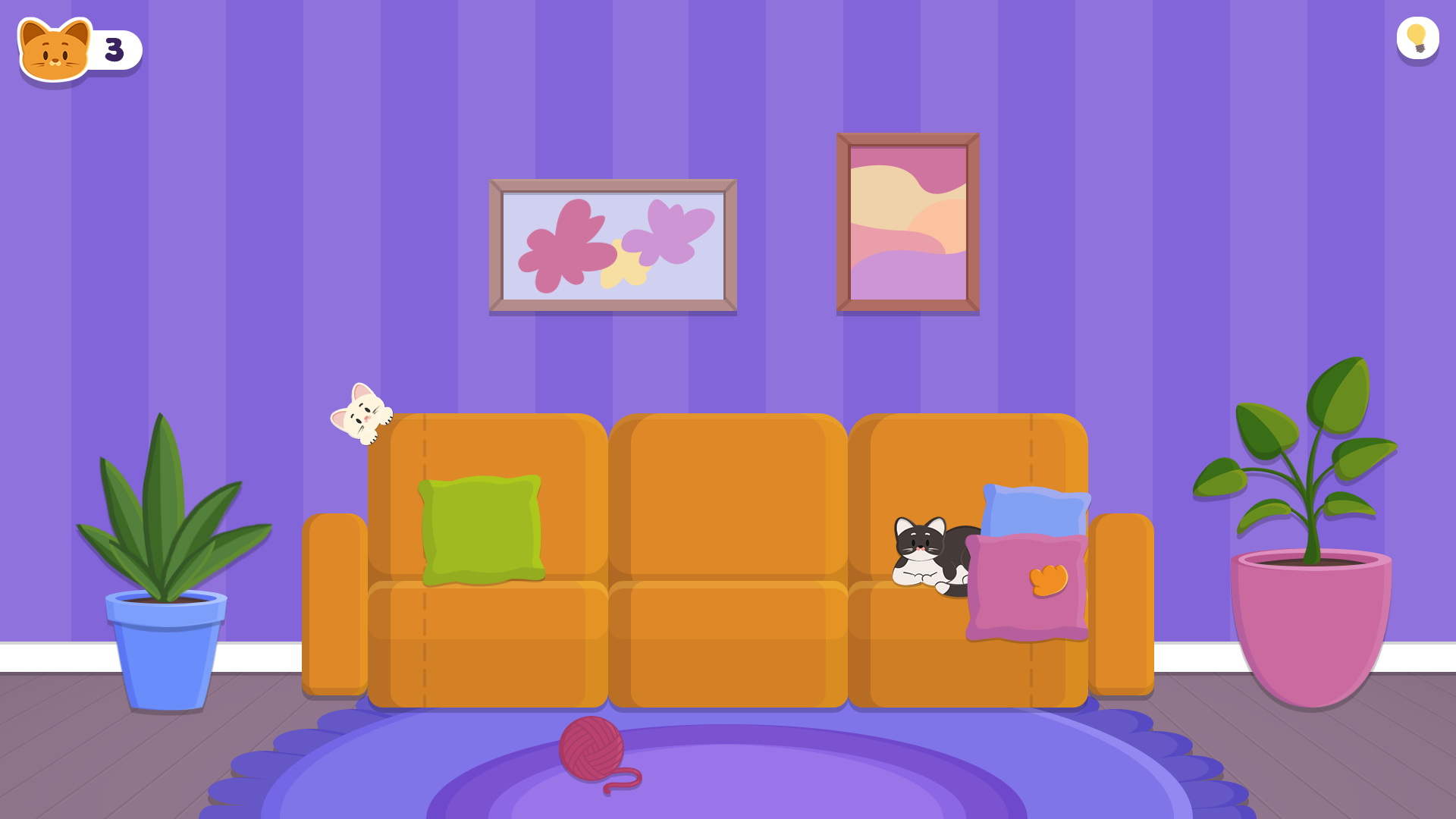 Kitty Finder