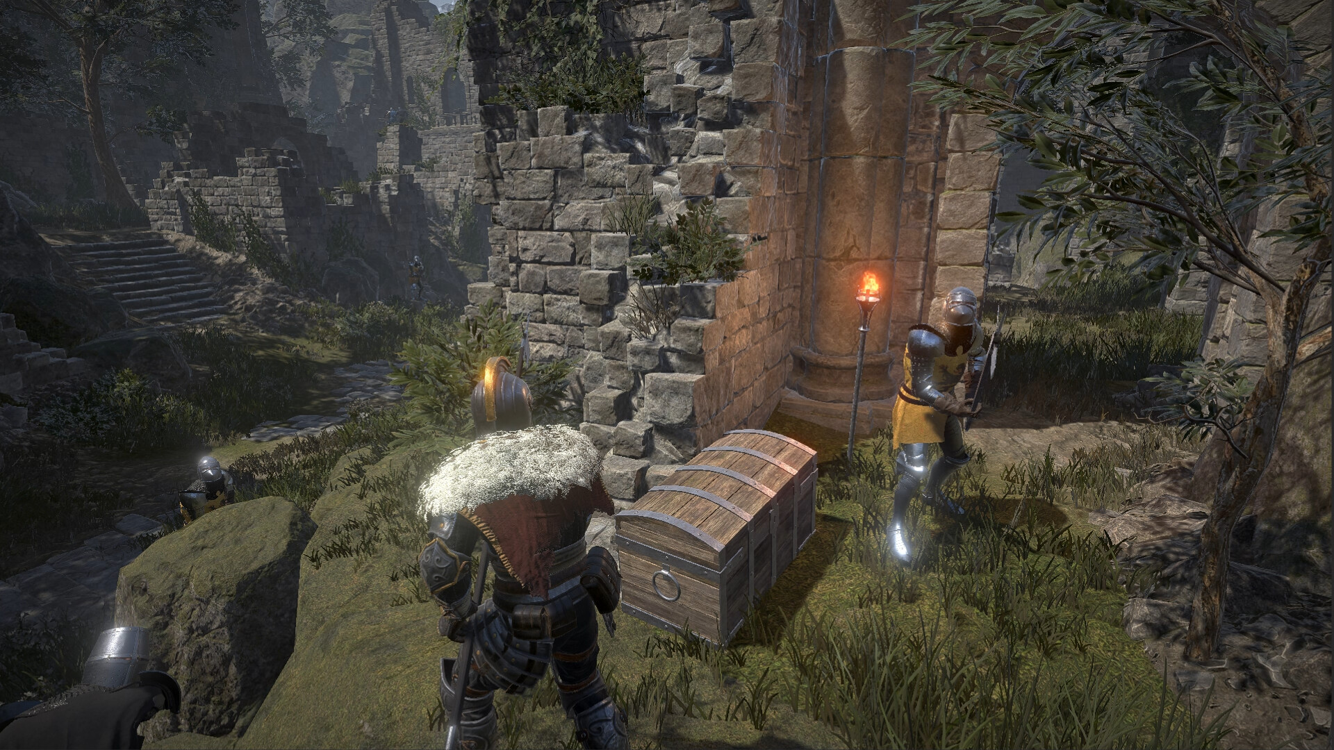 Dragon’s Dog Mother