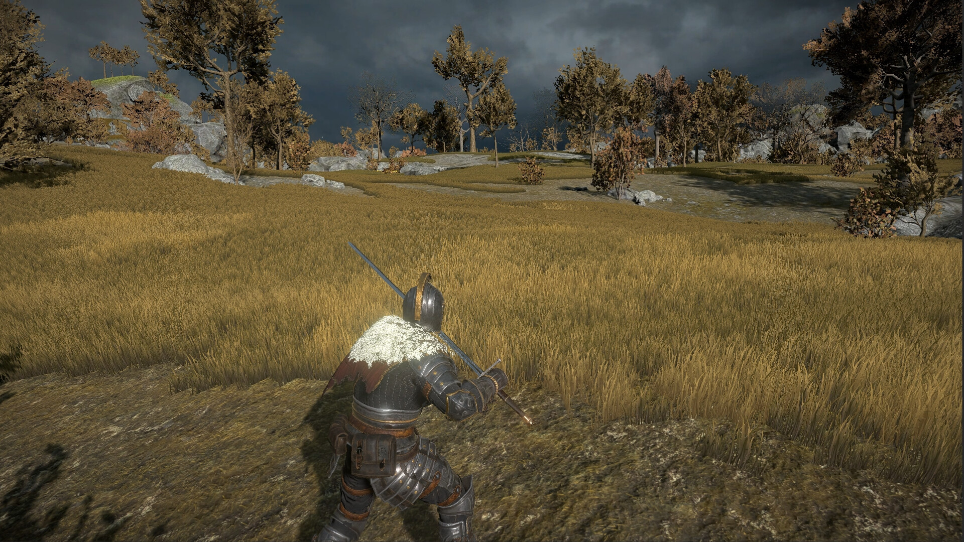 Dragon’s Dog Mother