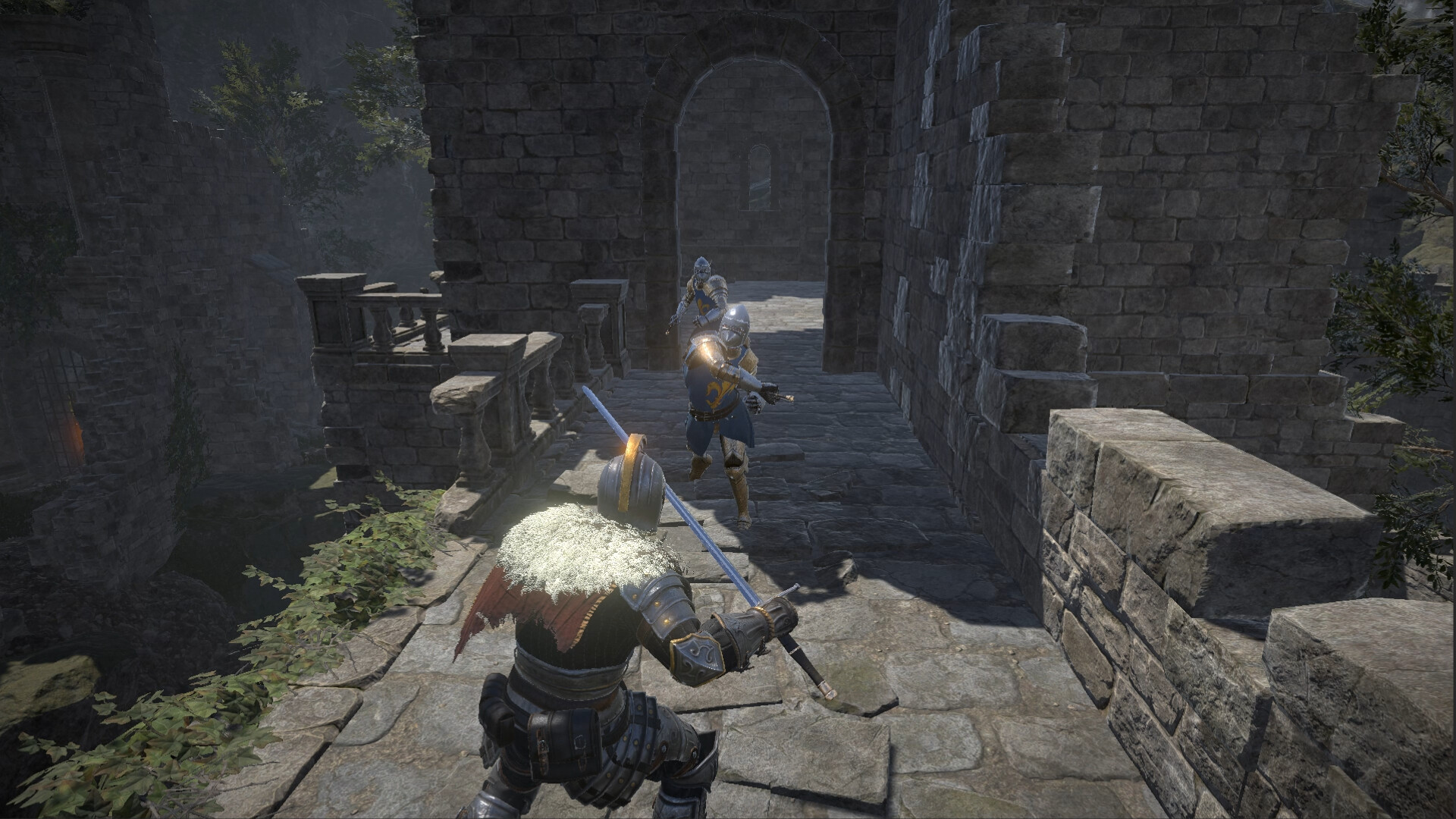 Dragon’s Dog Mother