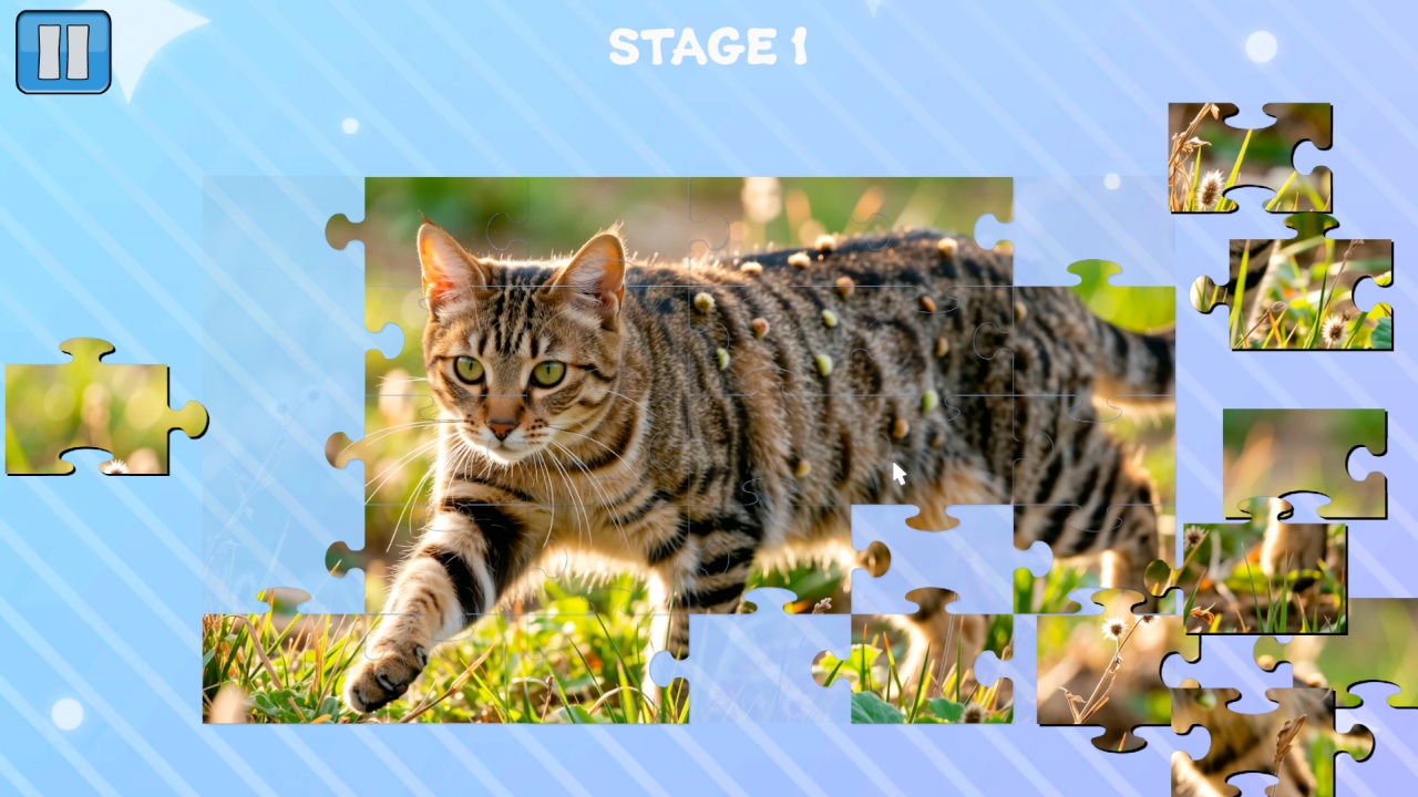 Funny Cats Puzzle