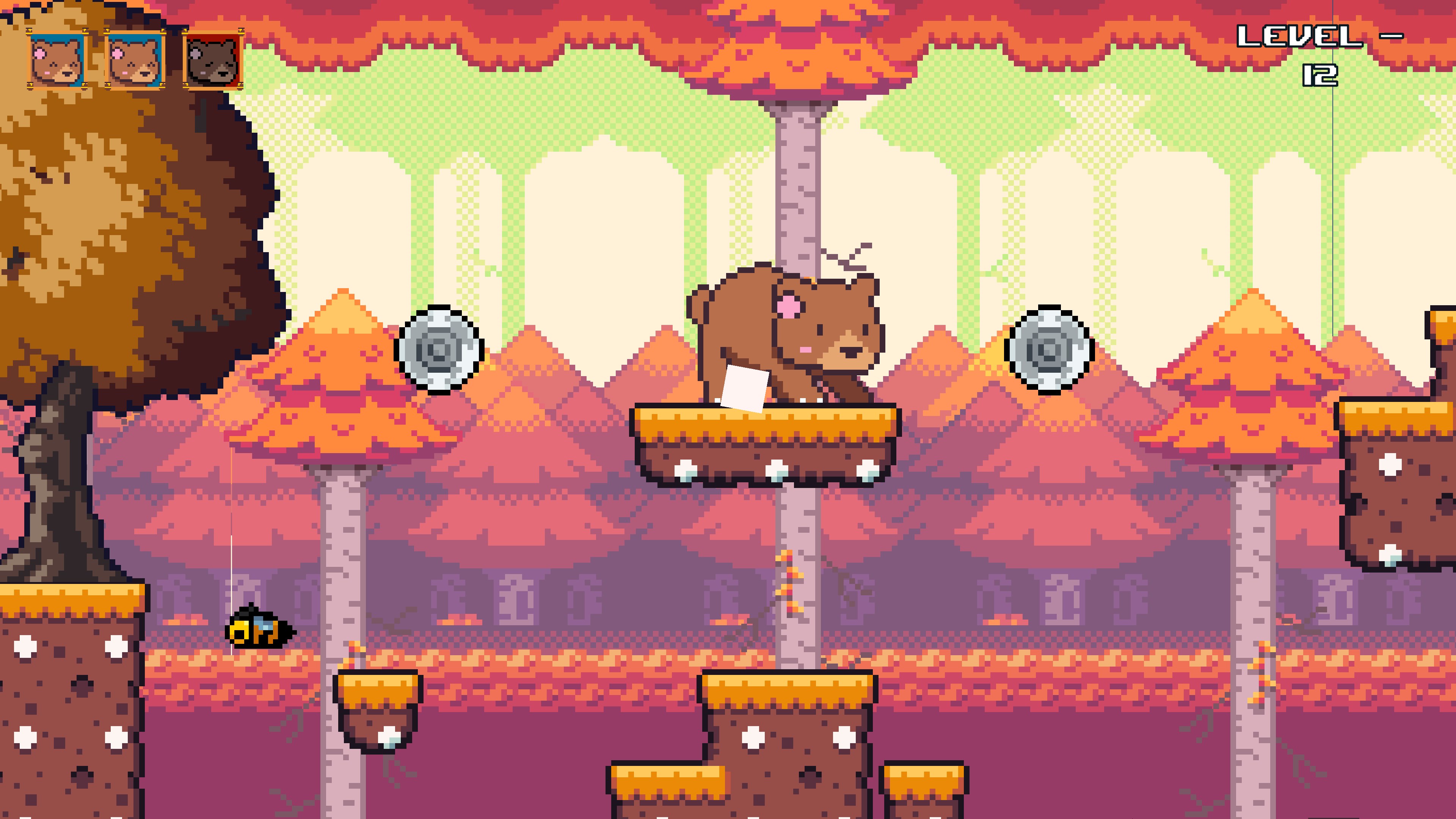 Grizzly Bear is Hungry