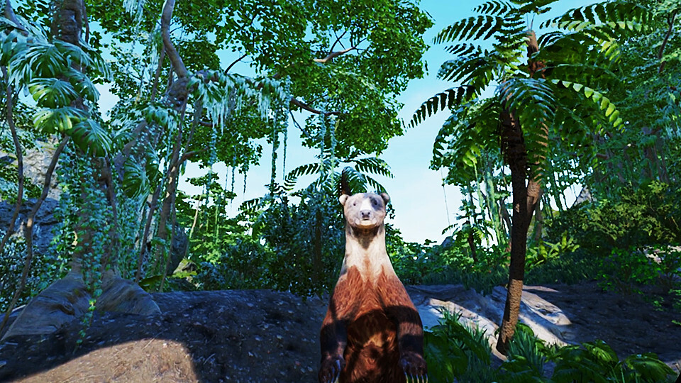 VR Animal Kids Rumble