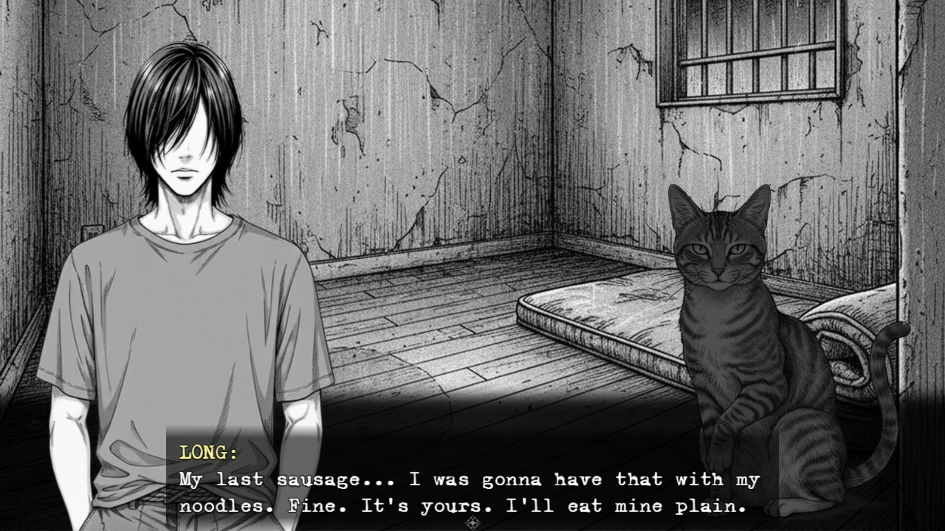 The Lucky Stray Cat