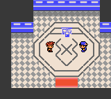 Pokémon Dark Energy