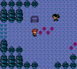 Pokémon Dark Energy
