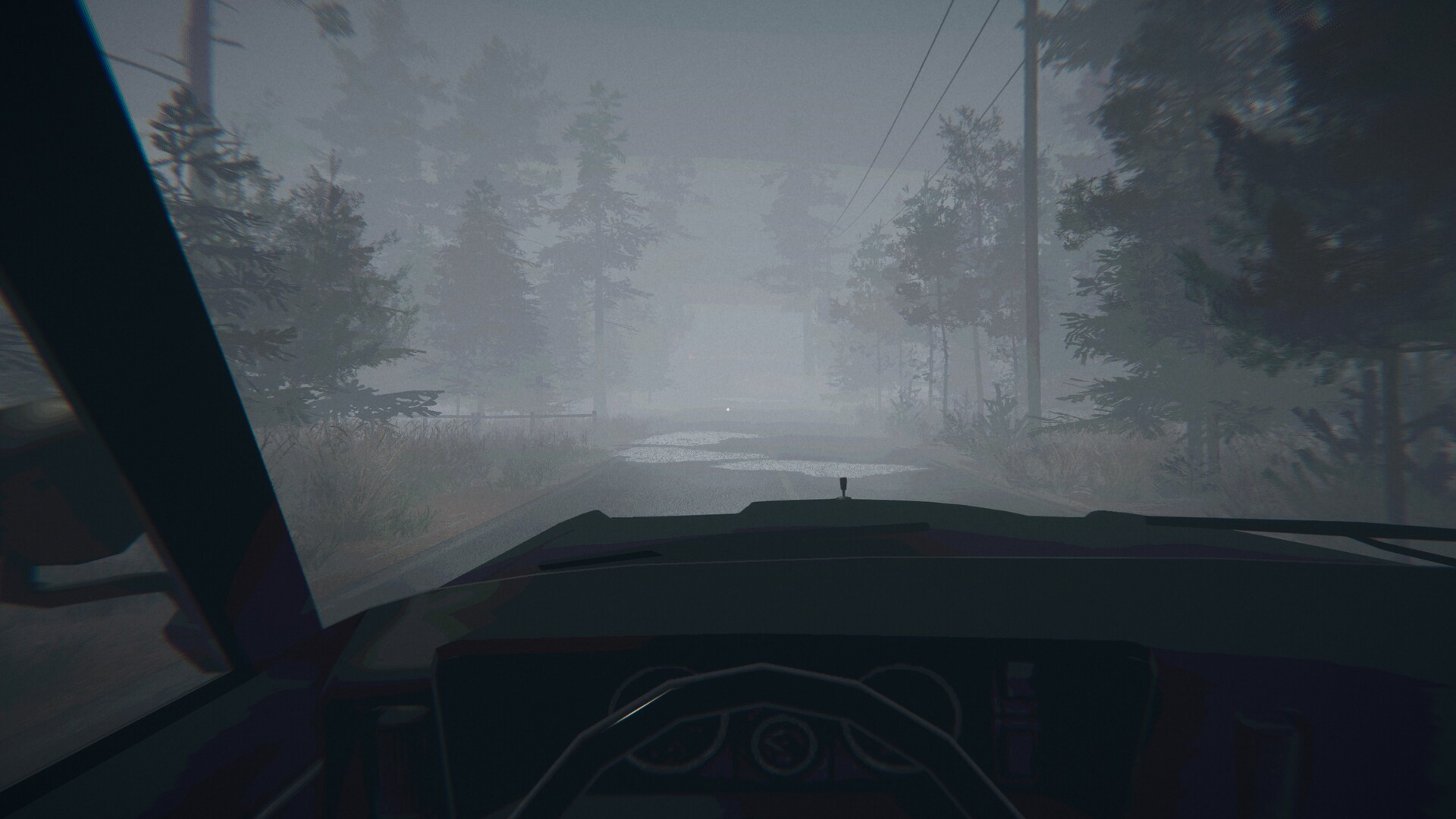 Midnight Files: Missing in Forest Lake