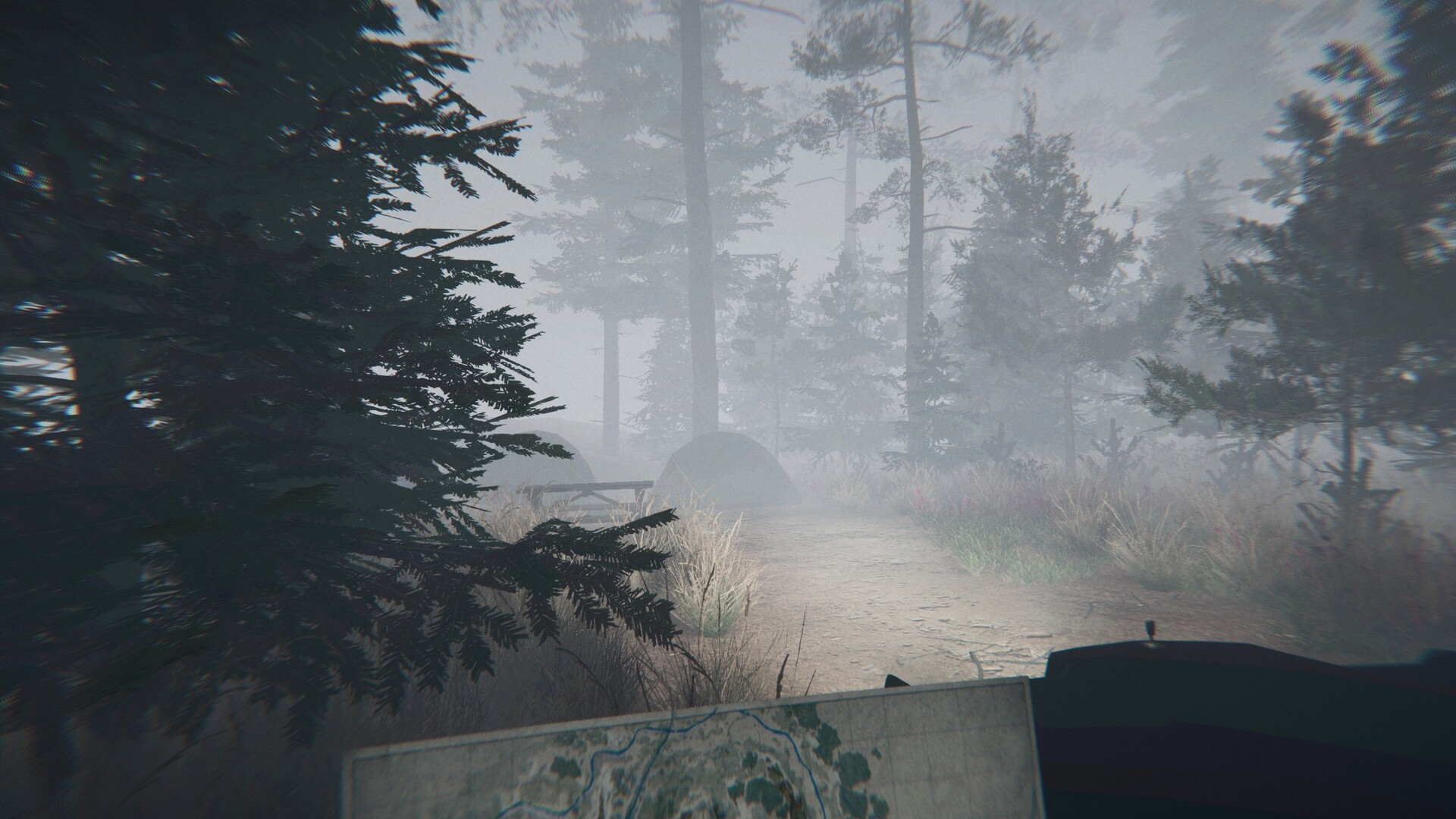 Midnight Files: Missing in Forest Lake