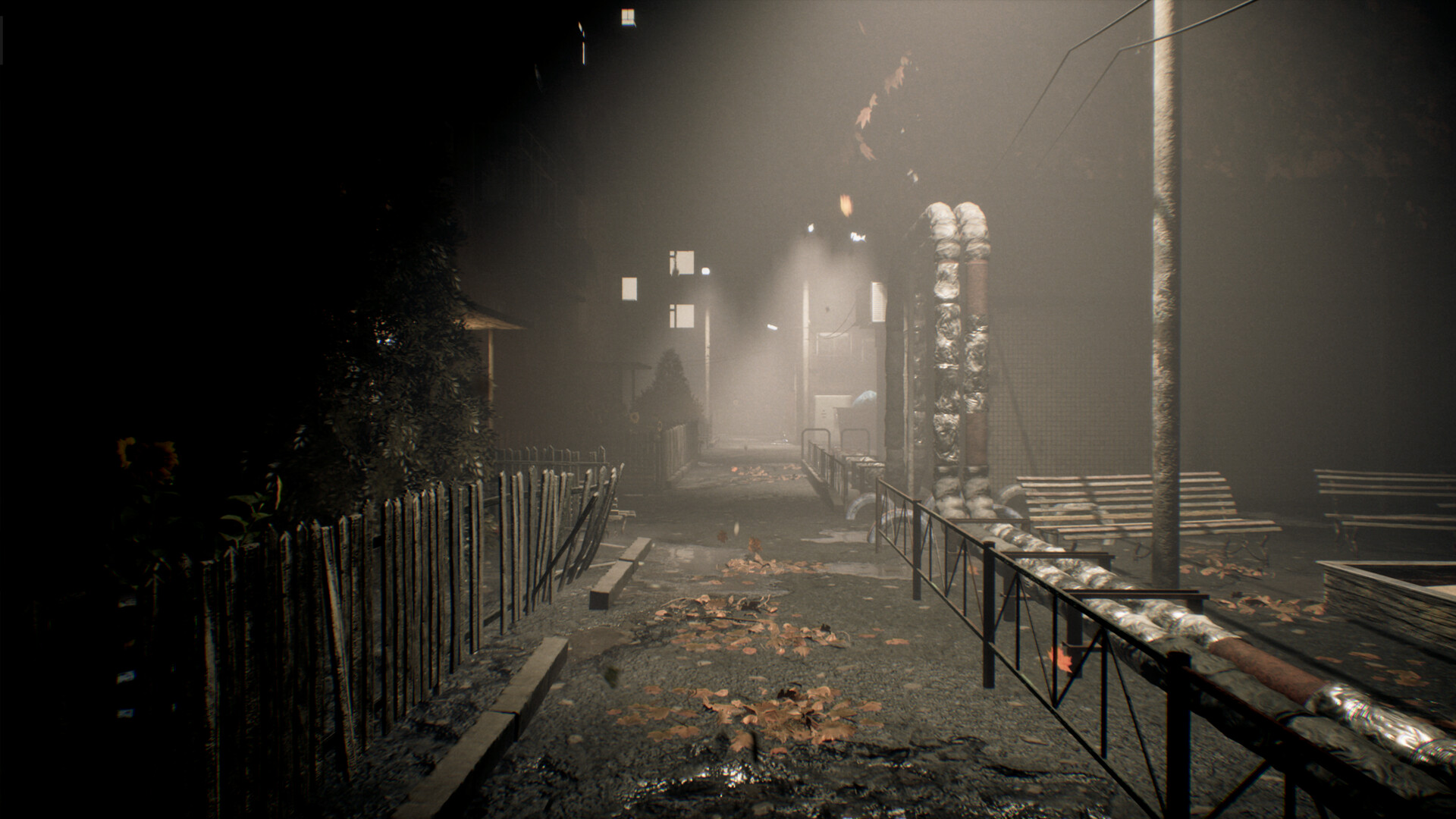 New Face On The Block