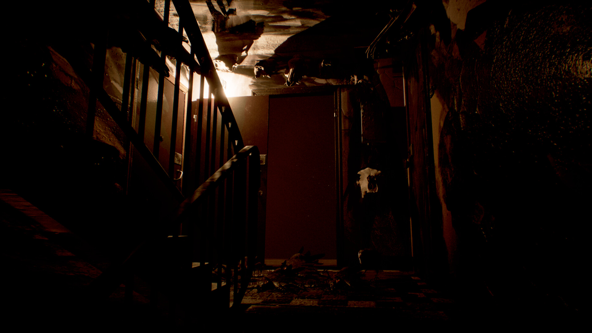 New Face On The Block