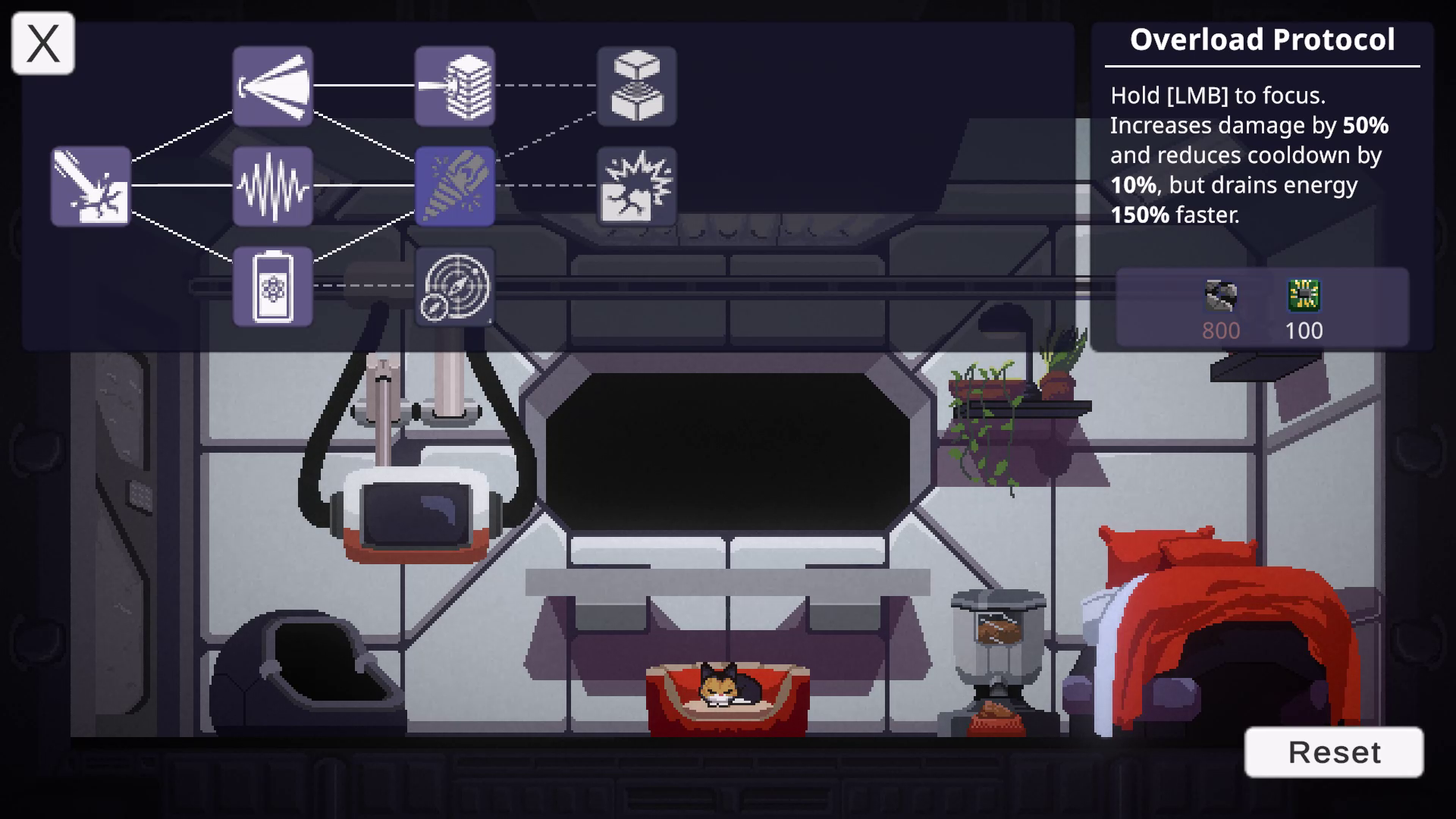 The Last Cat in the Universe