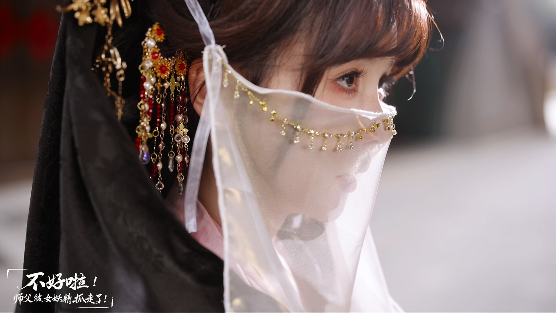 Sifu Kidnapped!: Adventure in the Women’s Kingdom