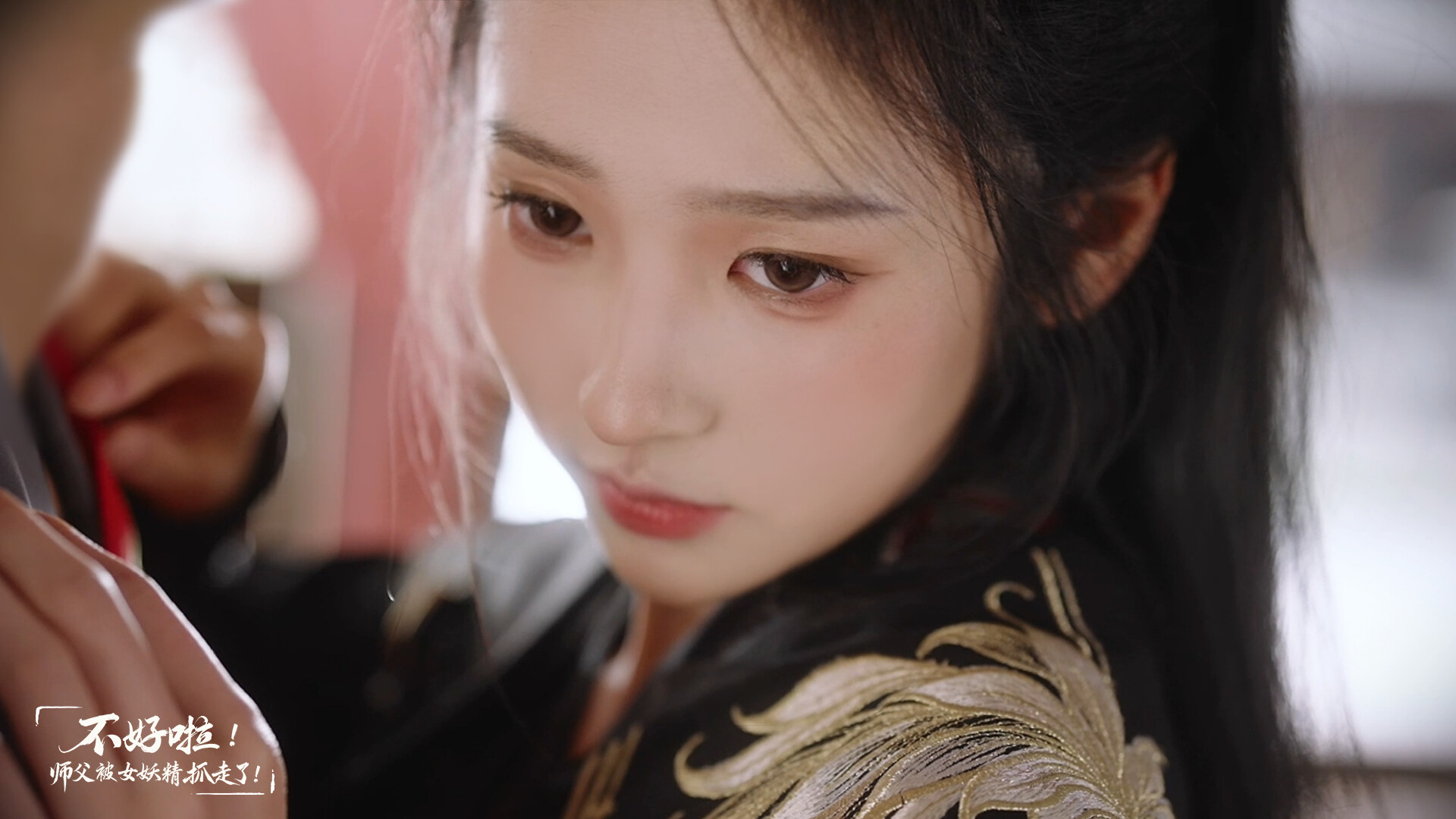 Sifu Kidnapped!: Adventure in the Women’s Kingdom