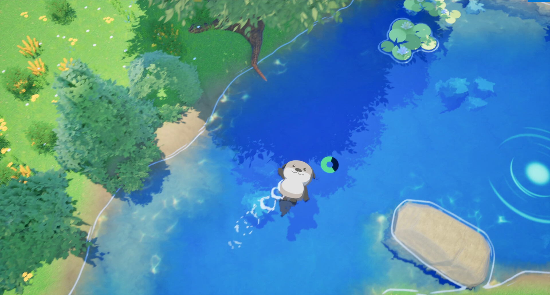 Ocean Otter Swim