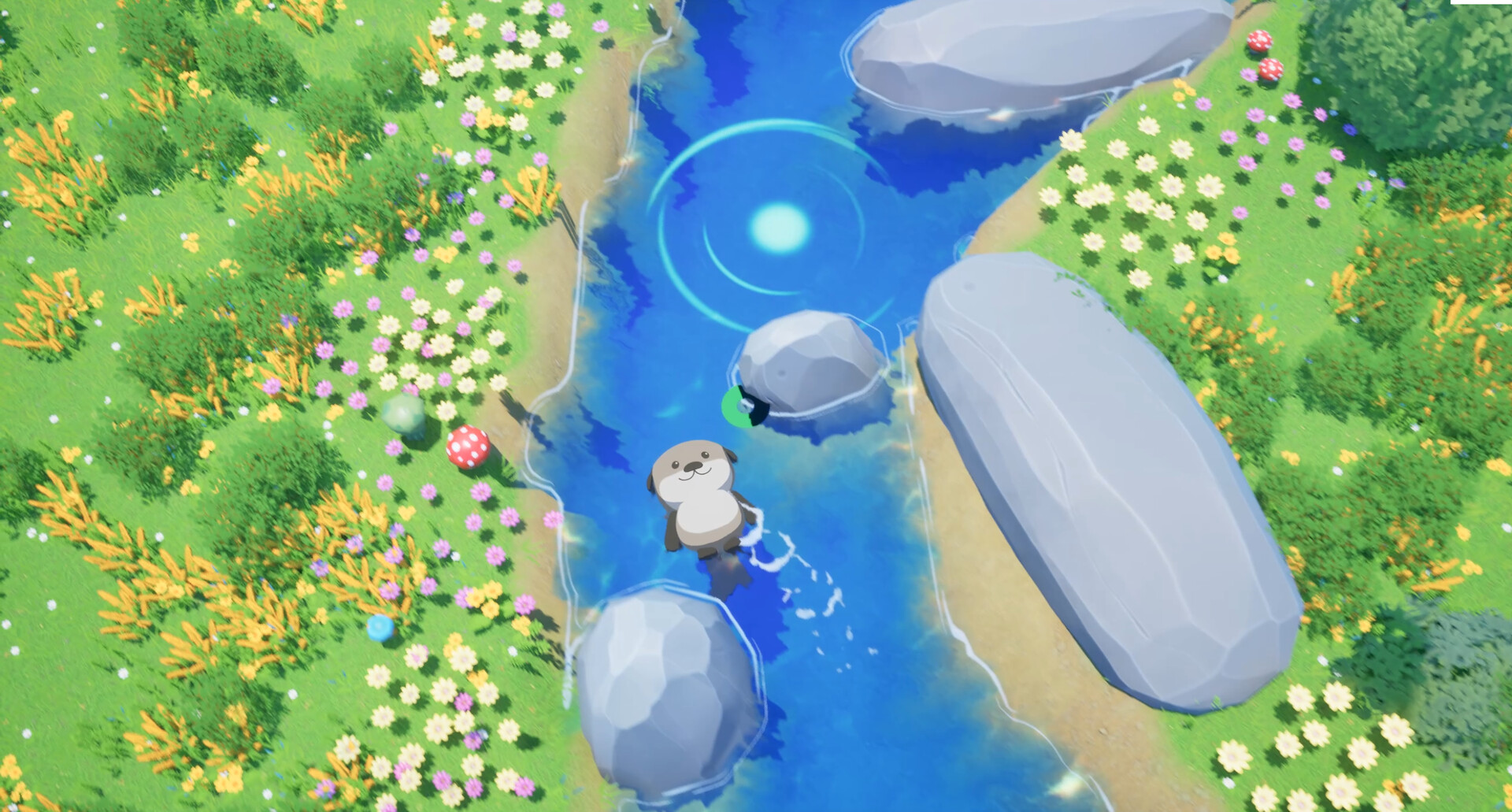 Ocean Otter Swim