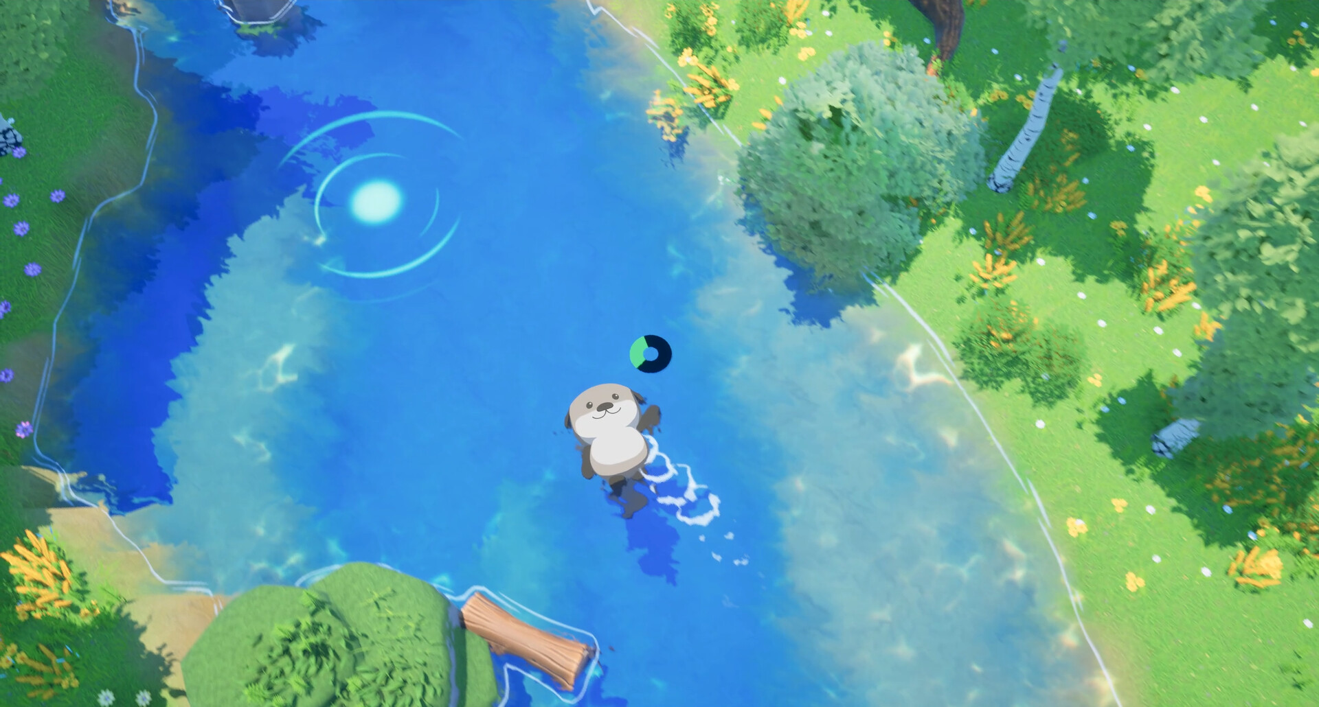 Ocean Otter Swim