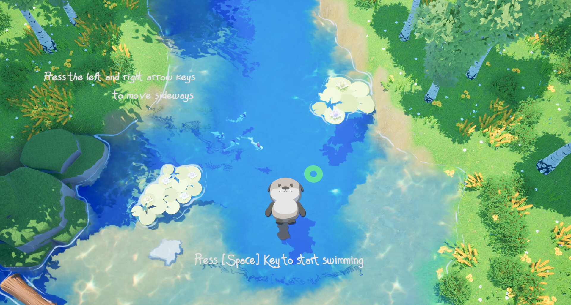 Ocean Otter Swim