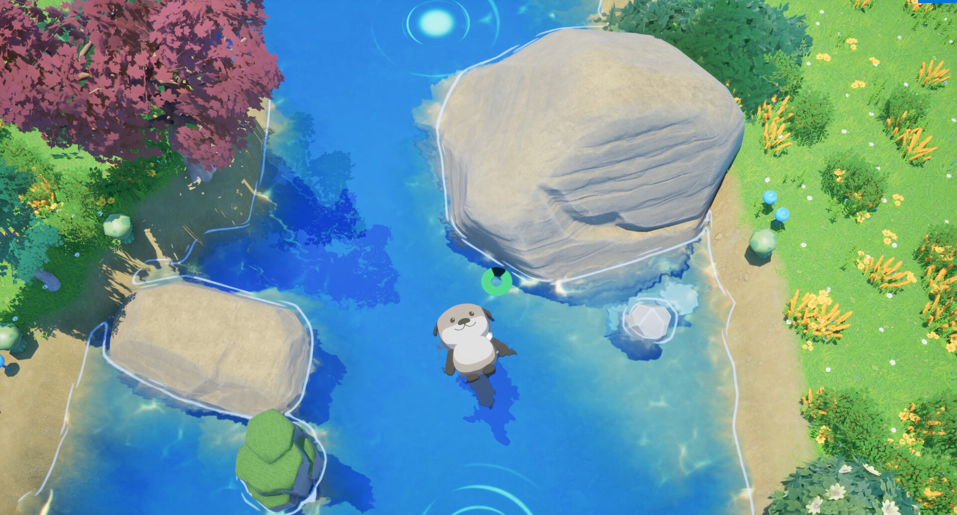 Ocean Otter Swim