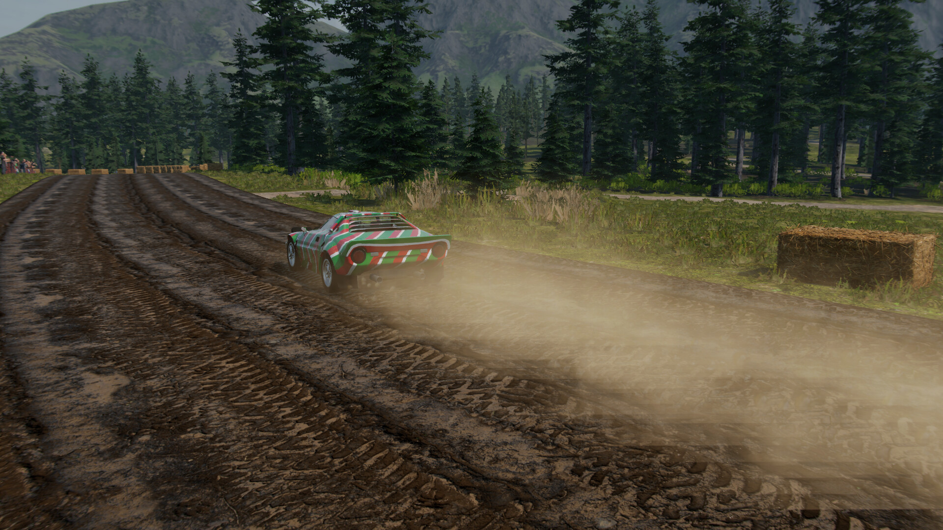 Rally Evolution 2025