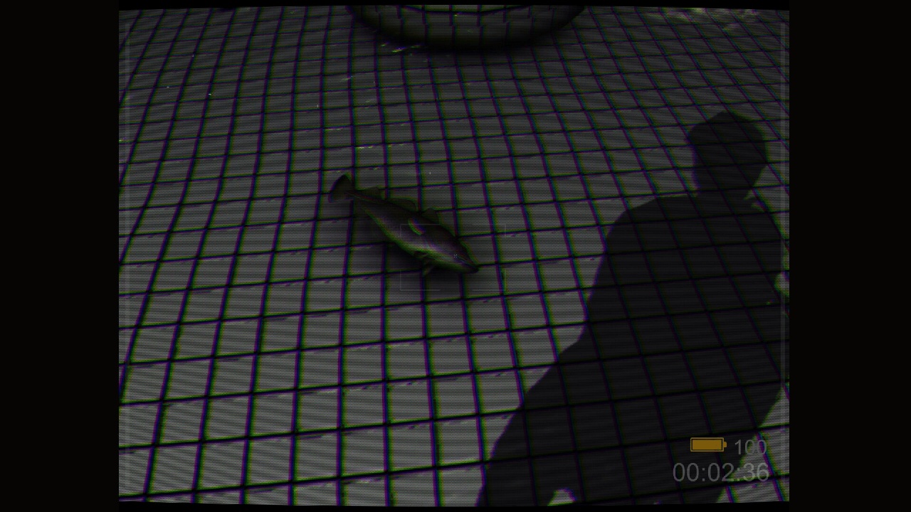 Backrooms: Poolrooms