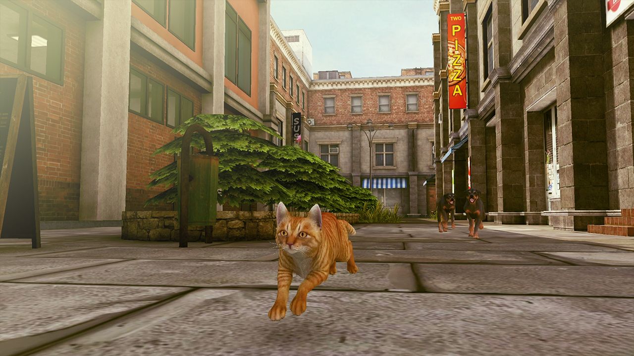 Little Strays 2