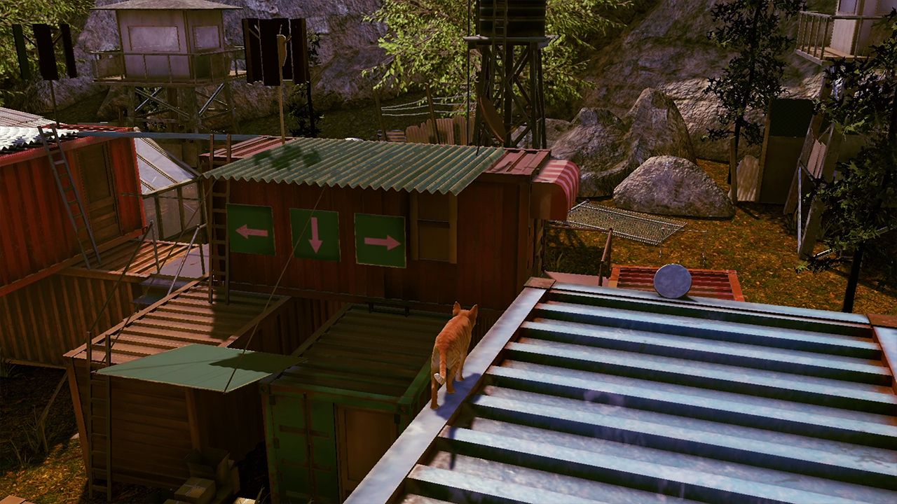 Little Strays 2