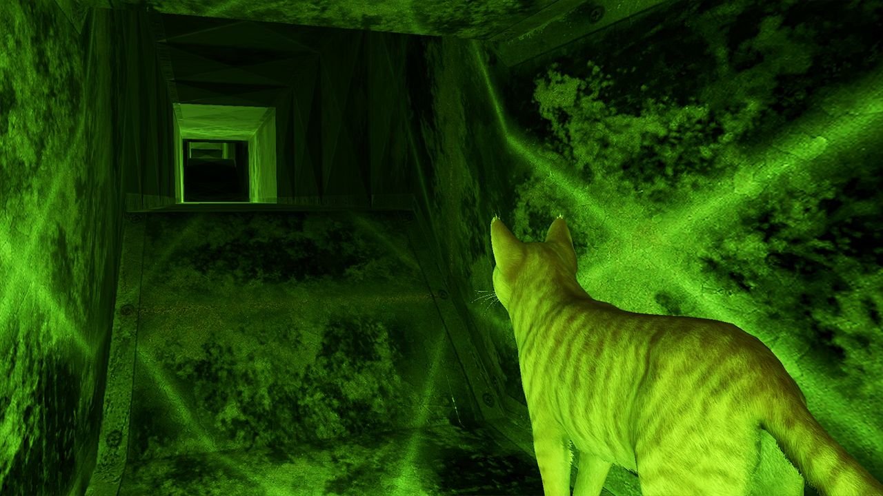 Little Strays 2