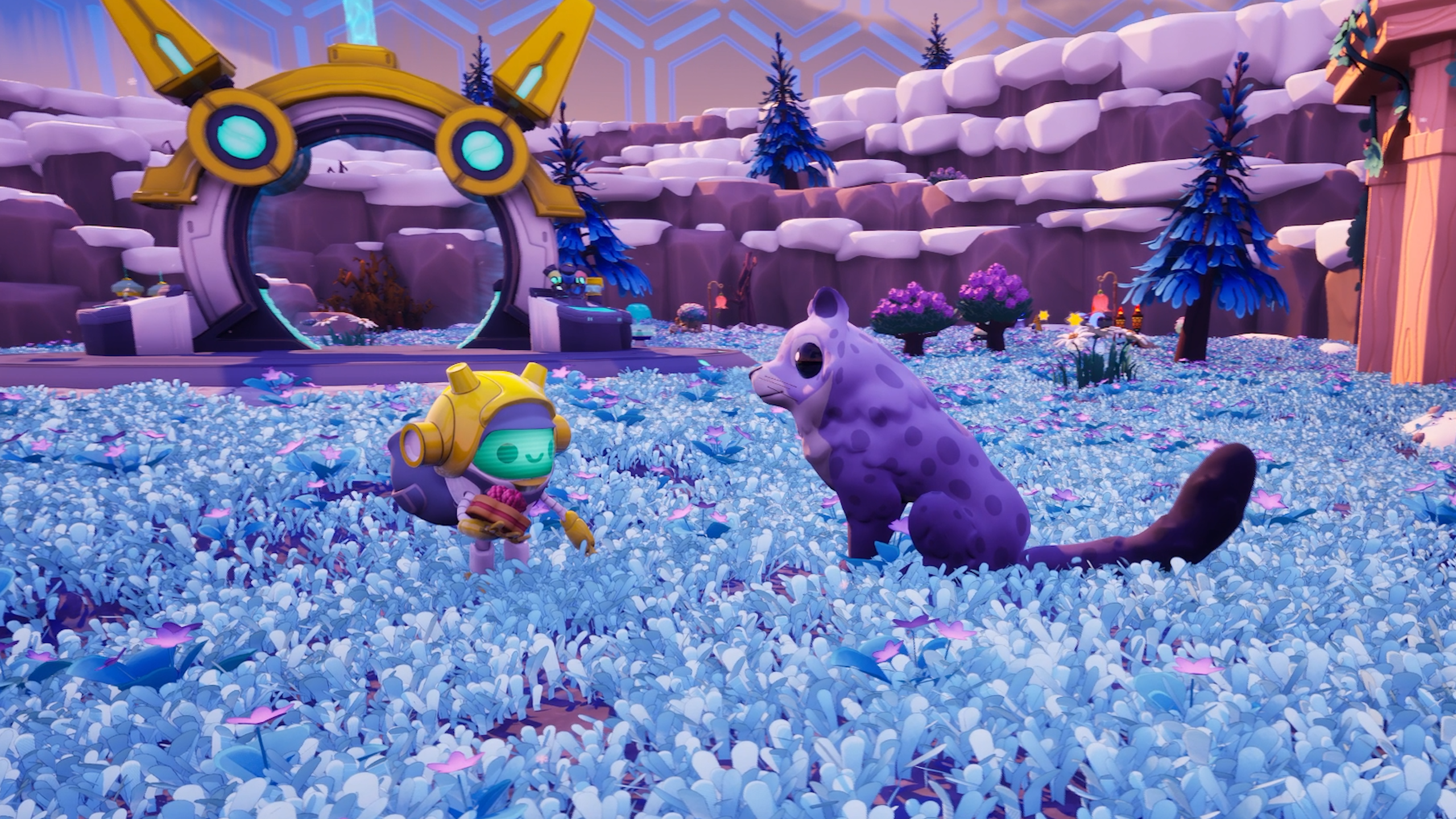 Garden and a Goat