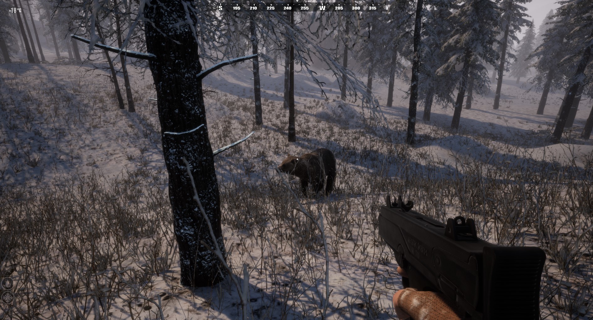 Survival Classic
