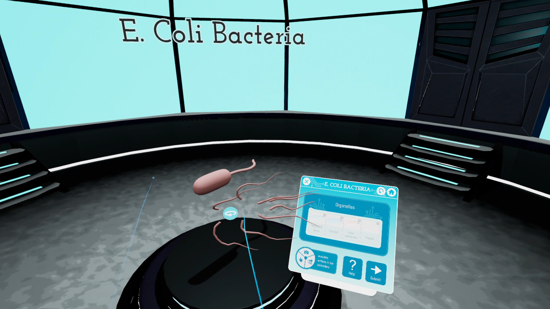 Looking Inside Cells