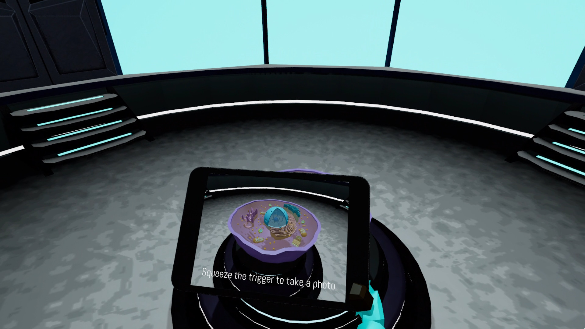 Looking Inside Cells