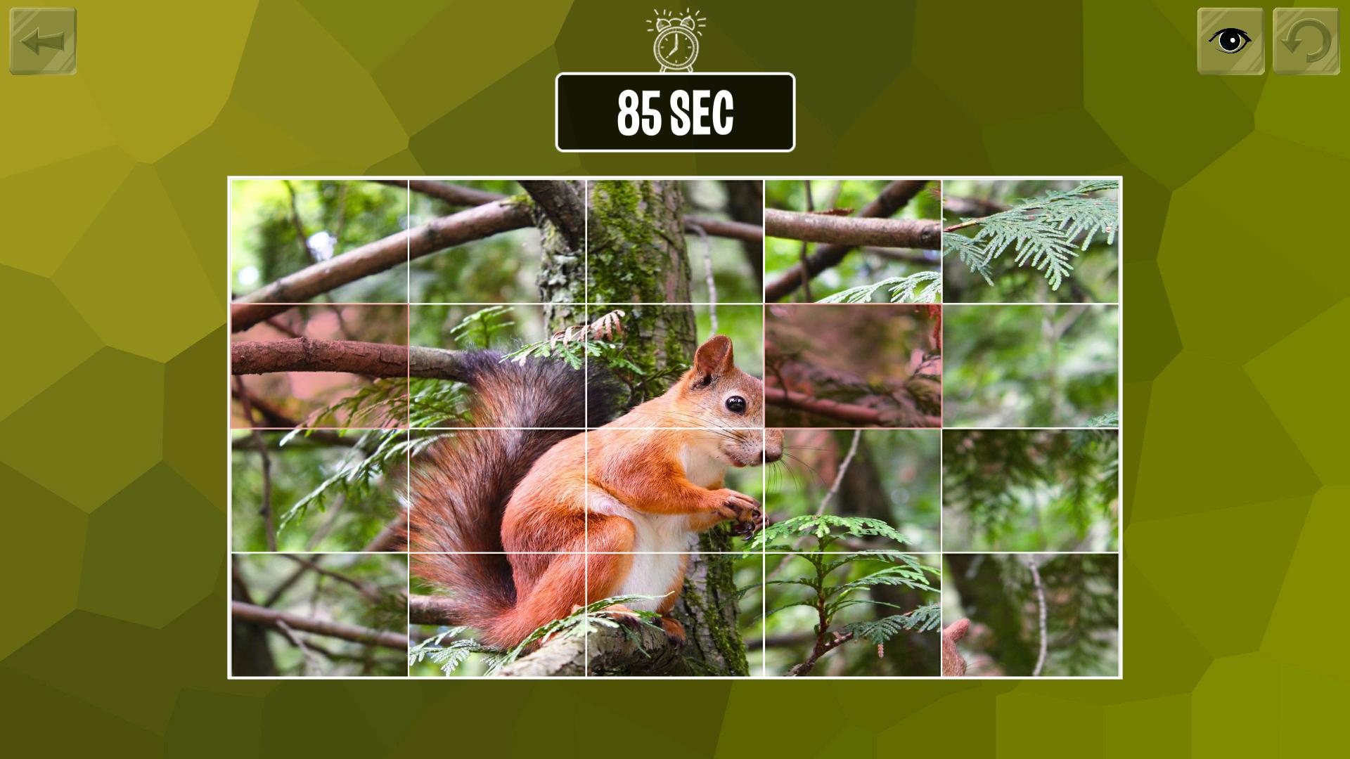 Easy Puzzle: Animals