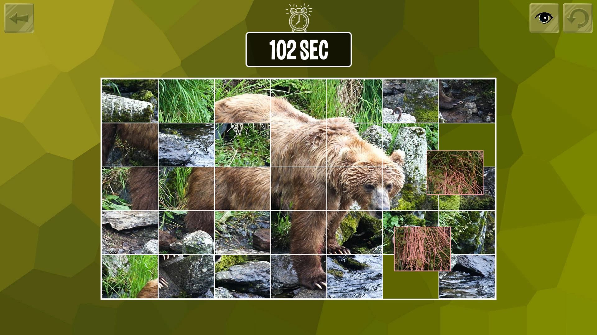 Easy Puzzle: Animals