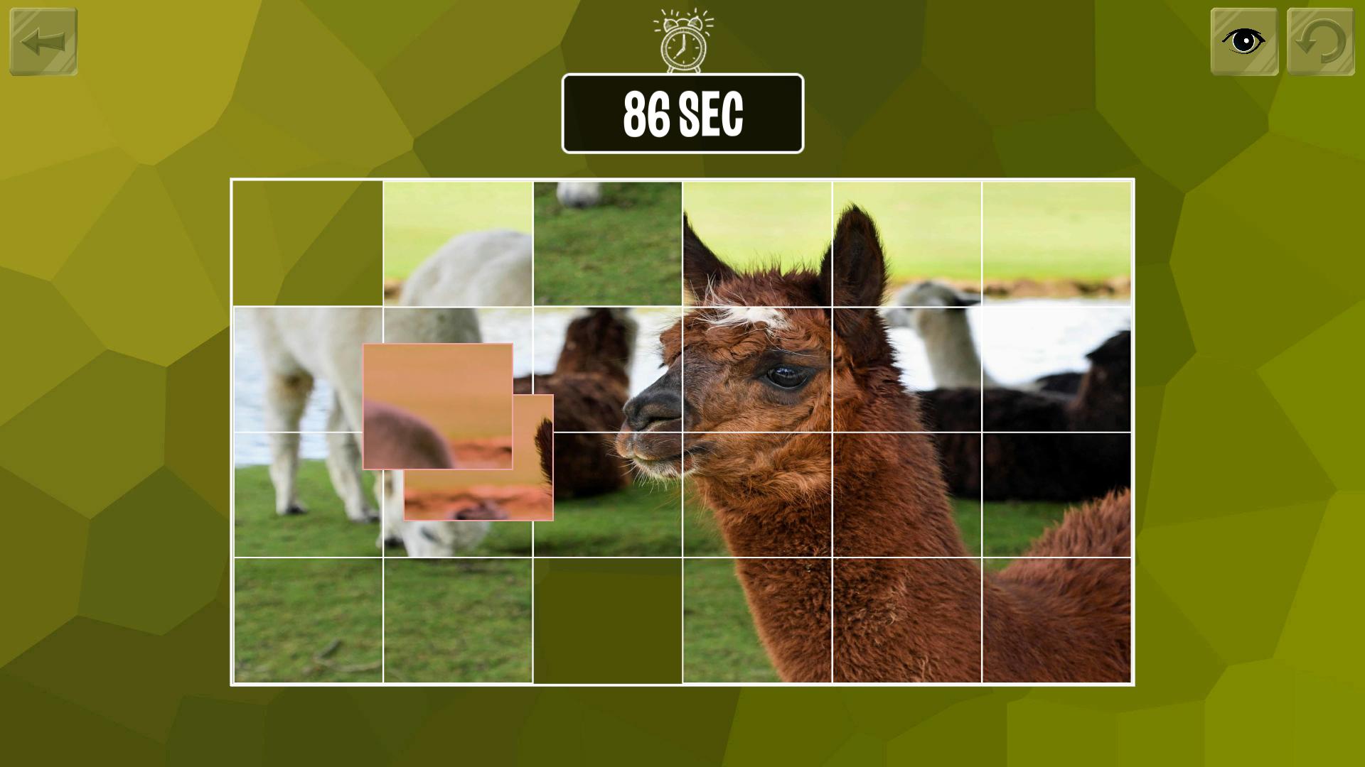 Easy Puzzle: Animals