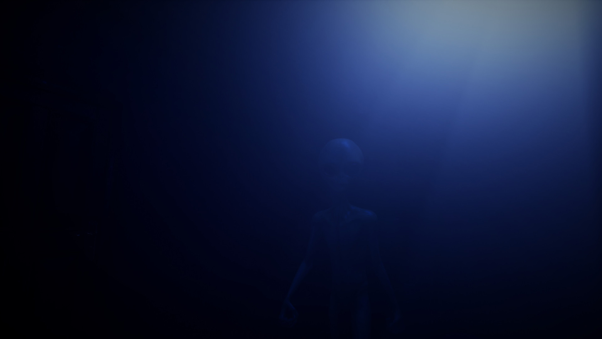 Alien Abduction Experience