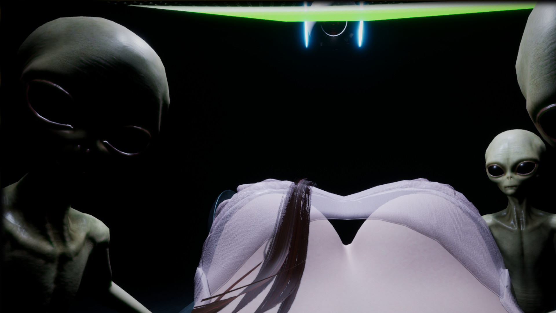 Alien Abduction Experience