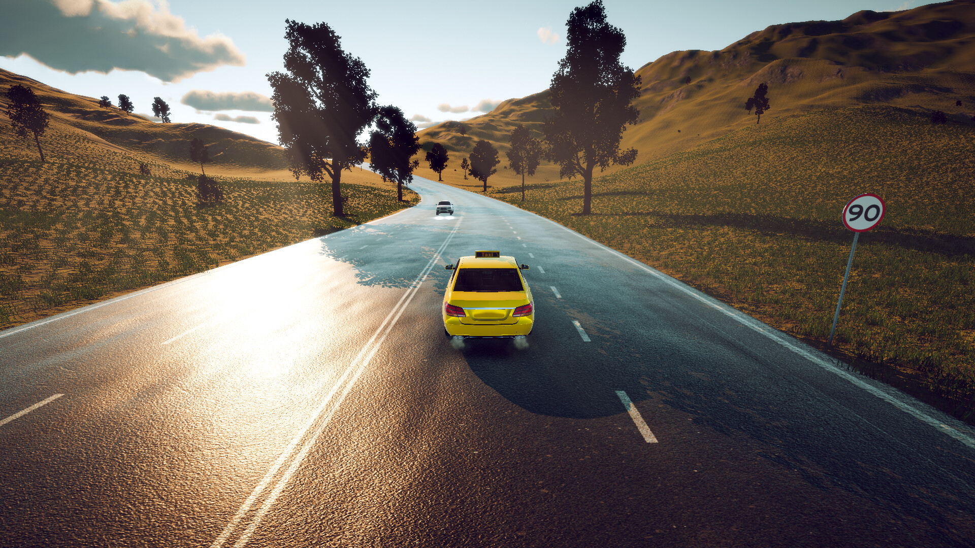 Onefold Taxi Simulator