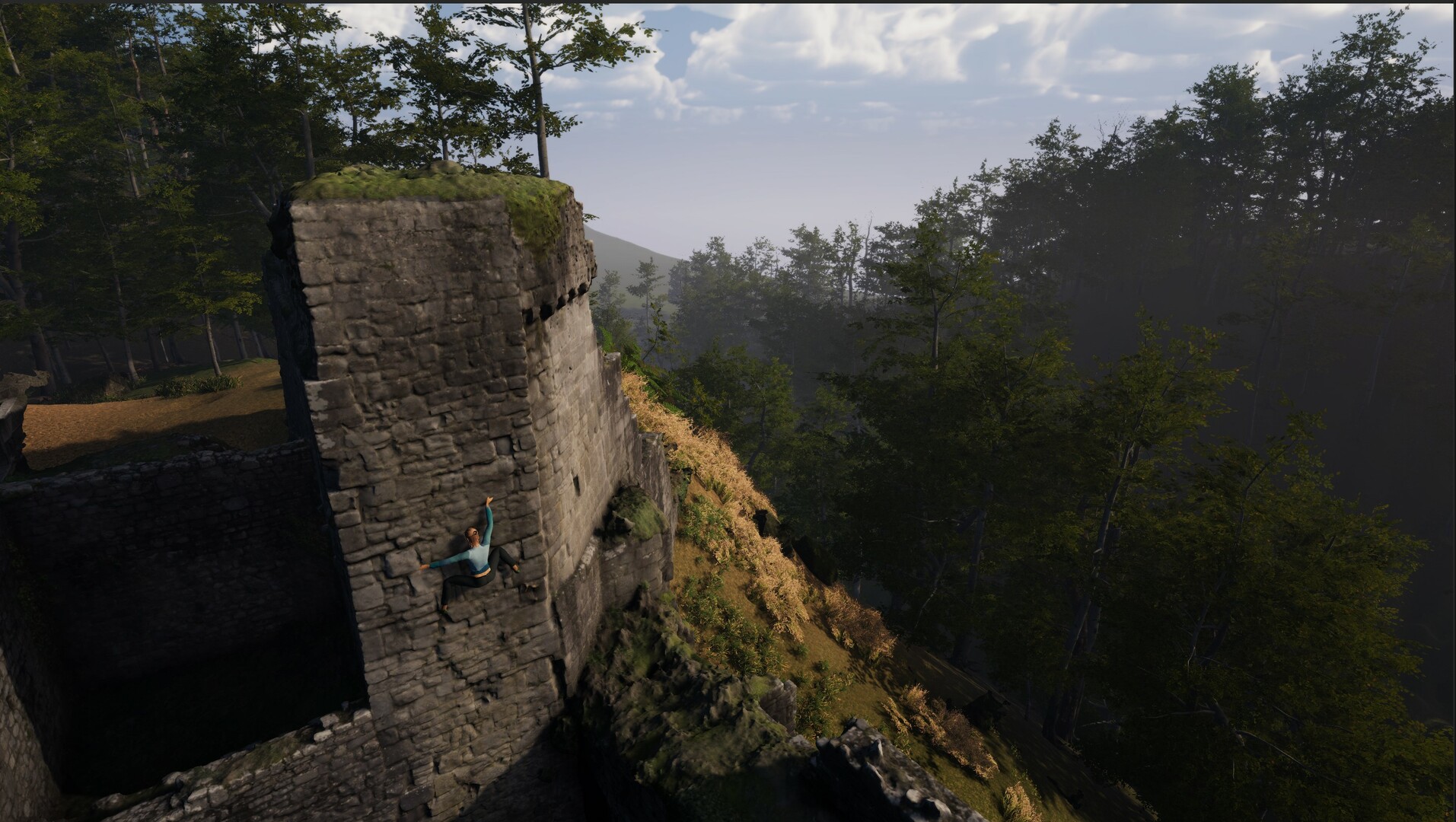 New Heights