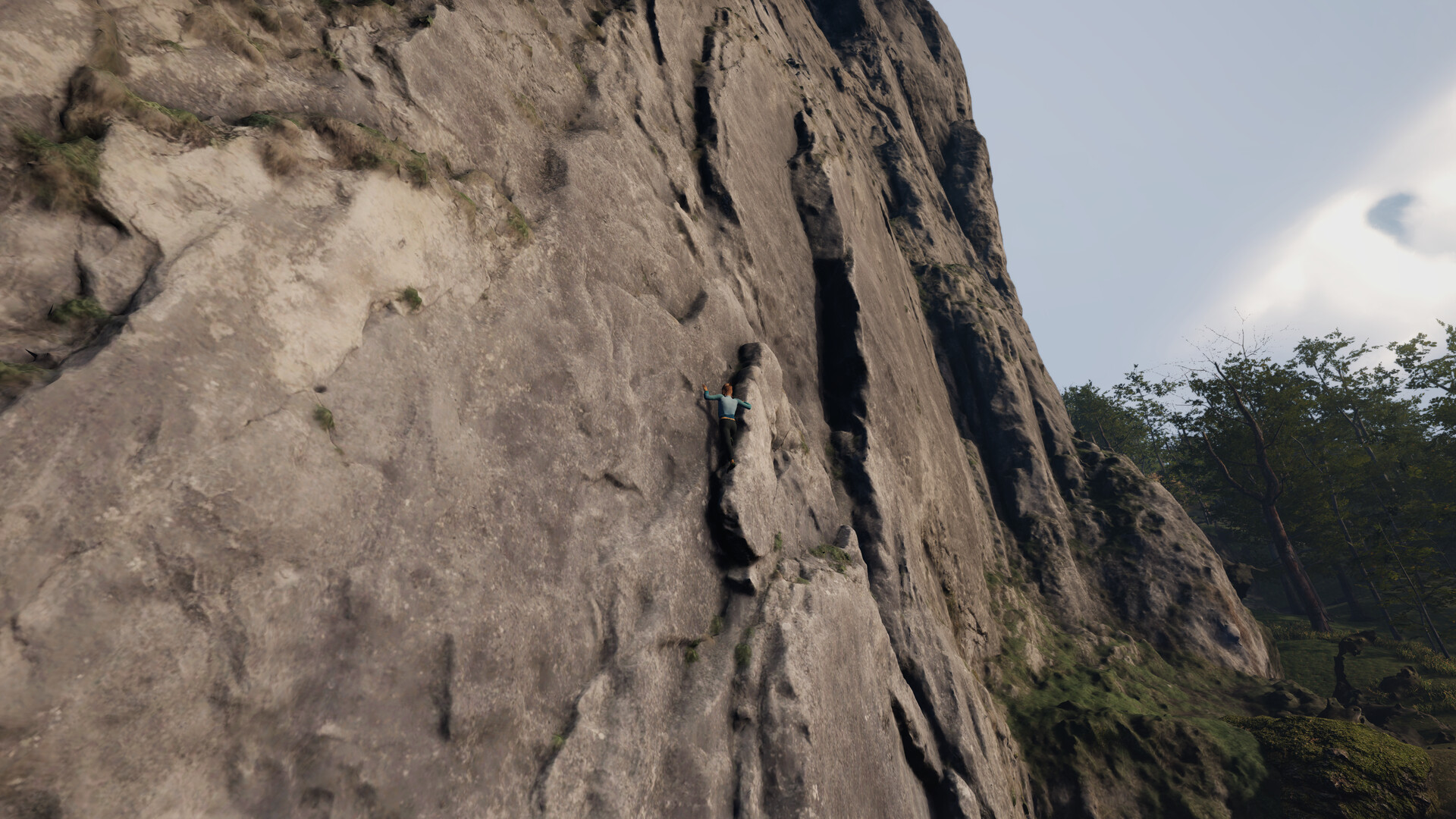 New Heights
