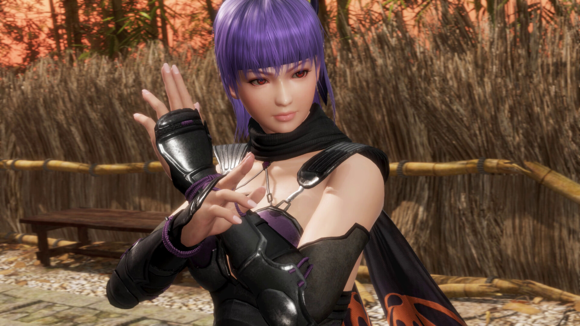 Dead or Alive 6 Last Round