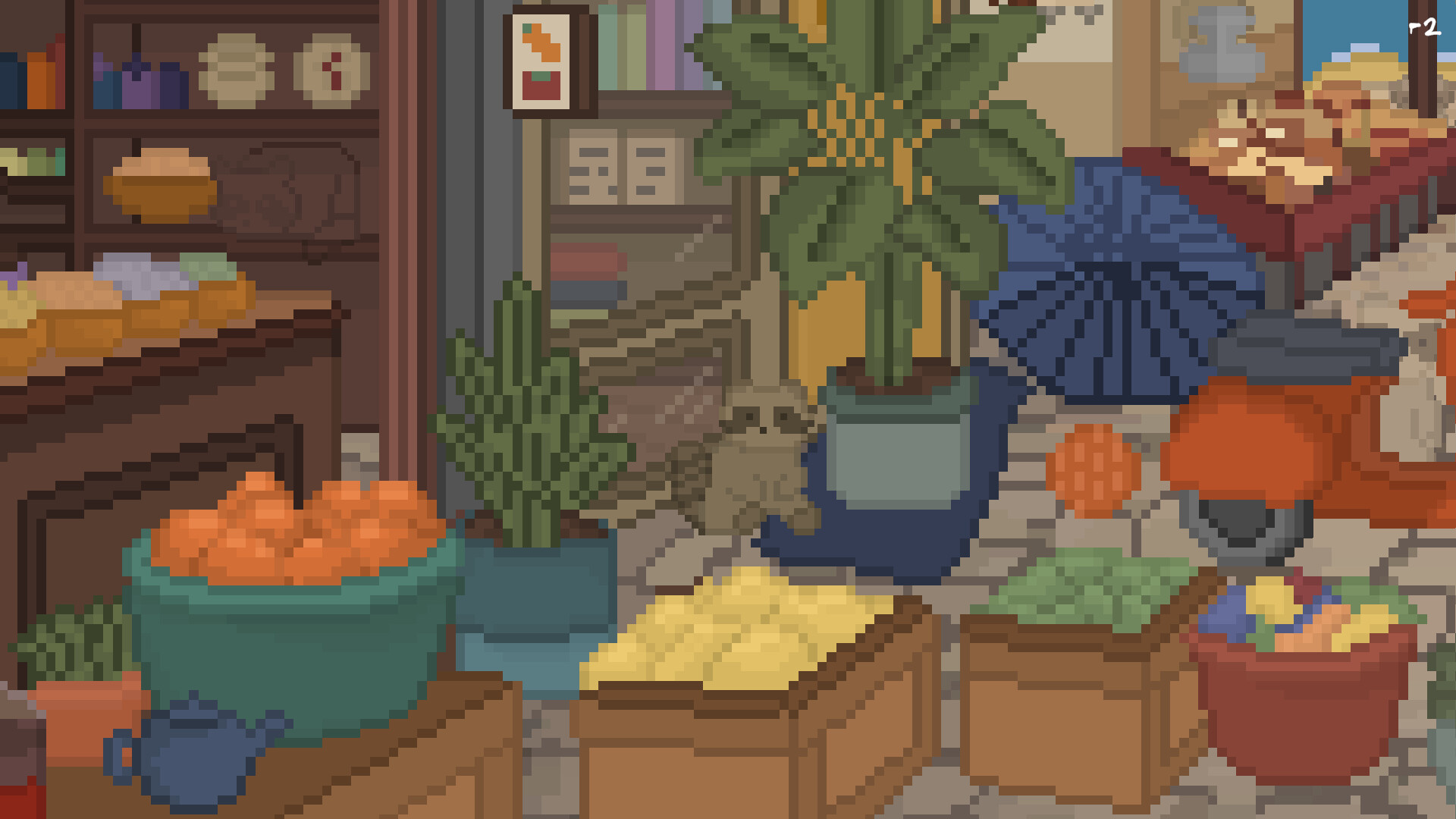 Hidden Raccoons