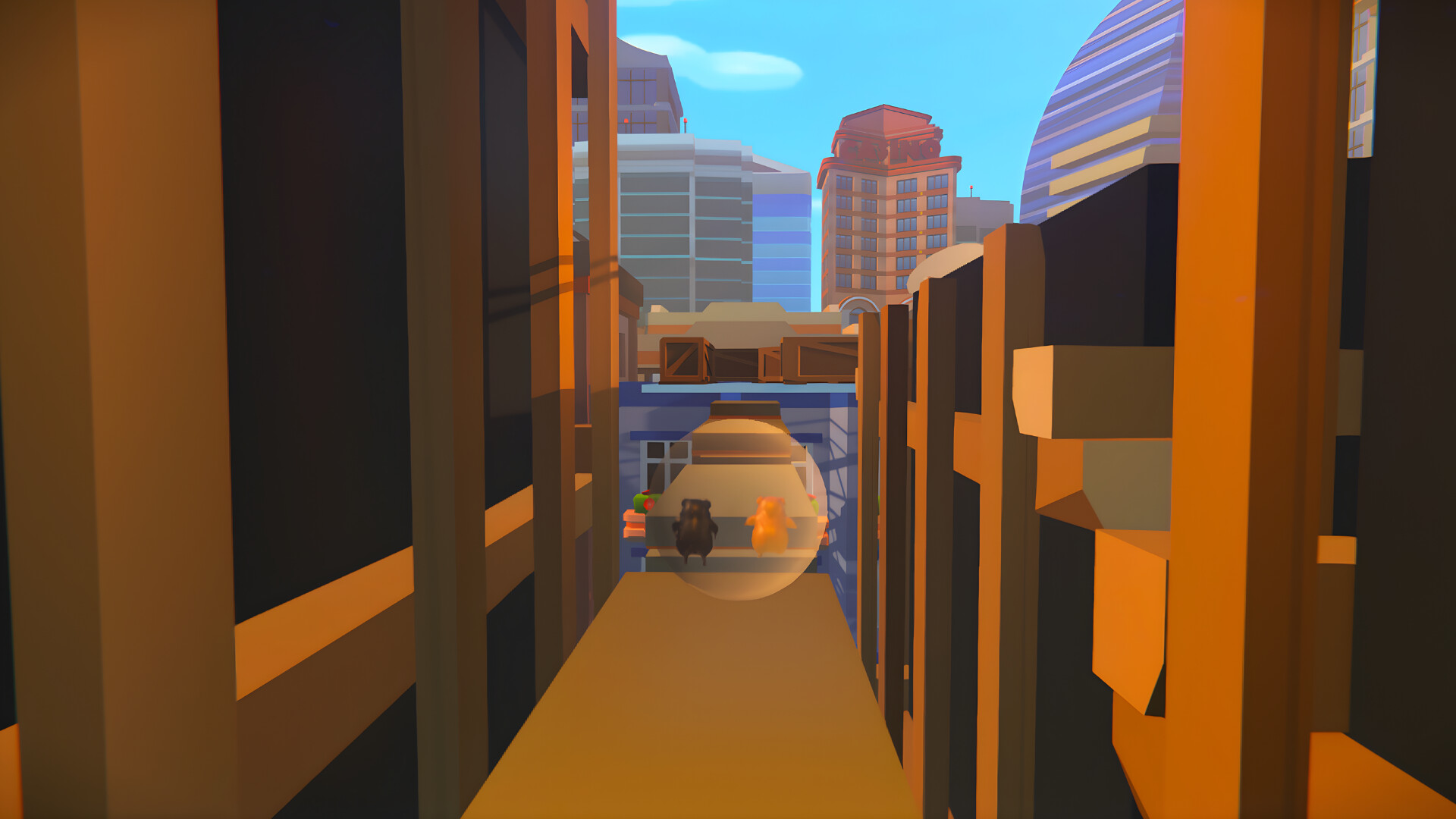 Guinea Pig Runaway Together