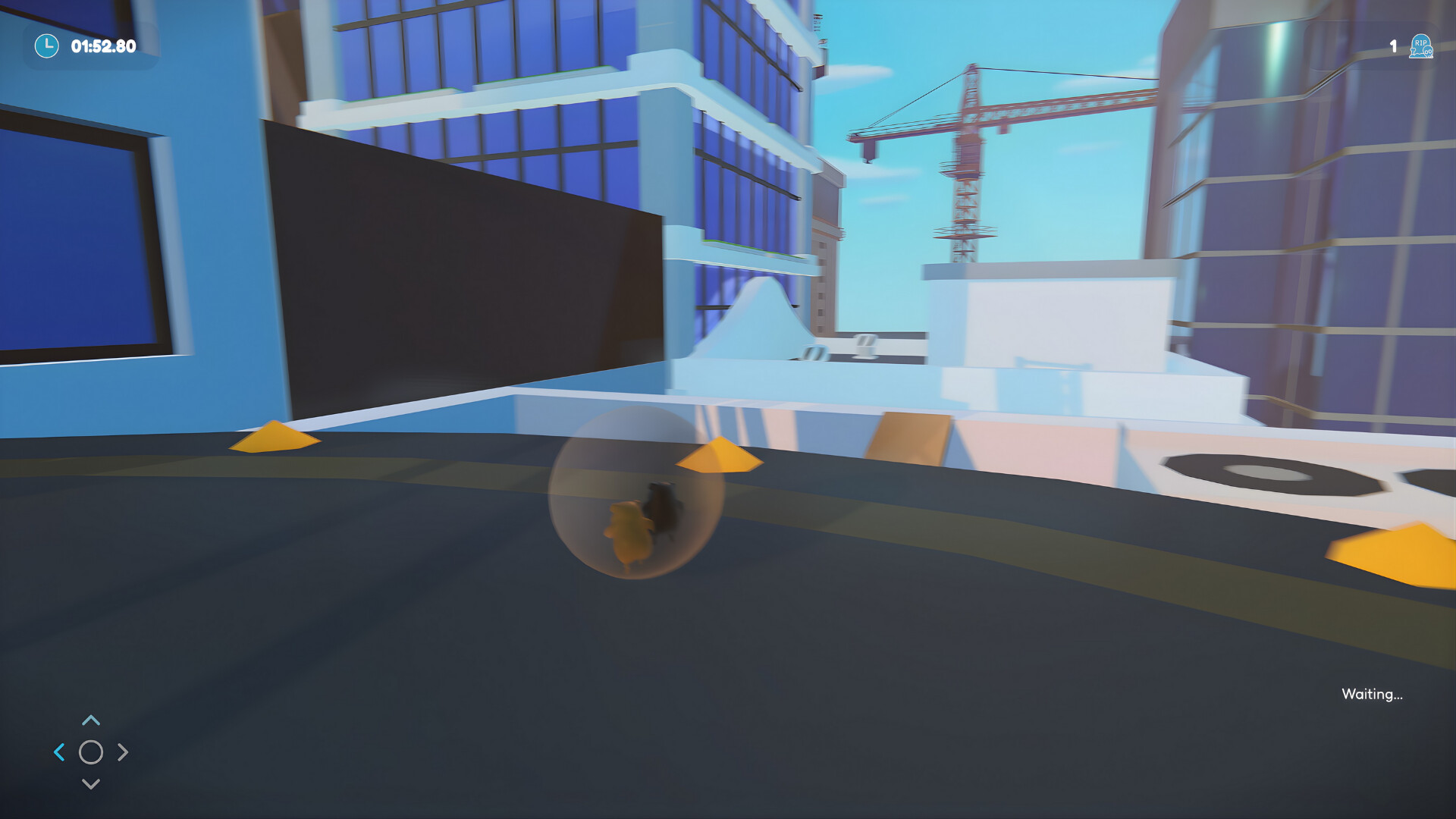 Guinea Pig Runaway Together