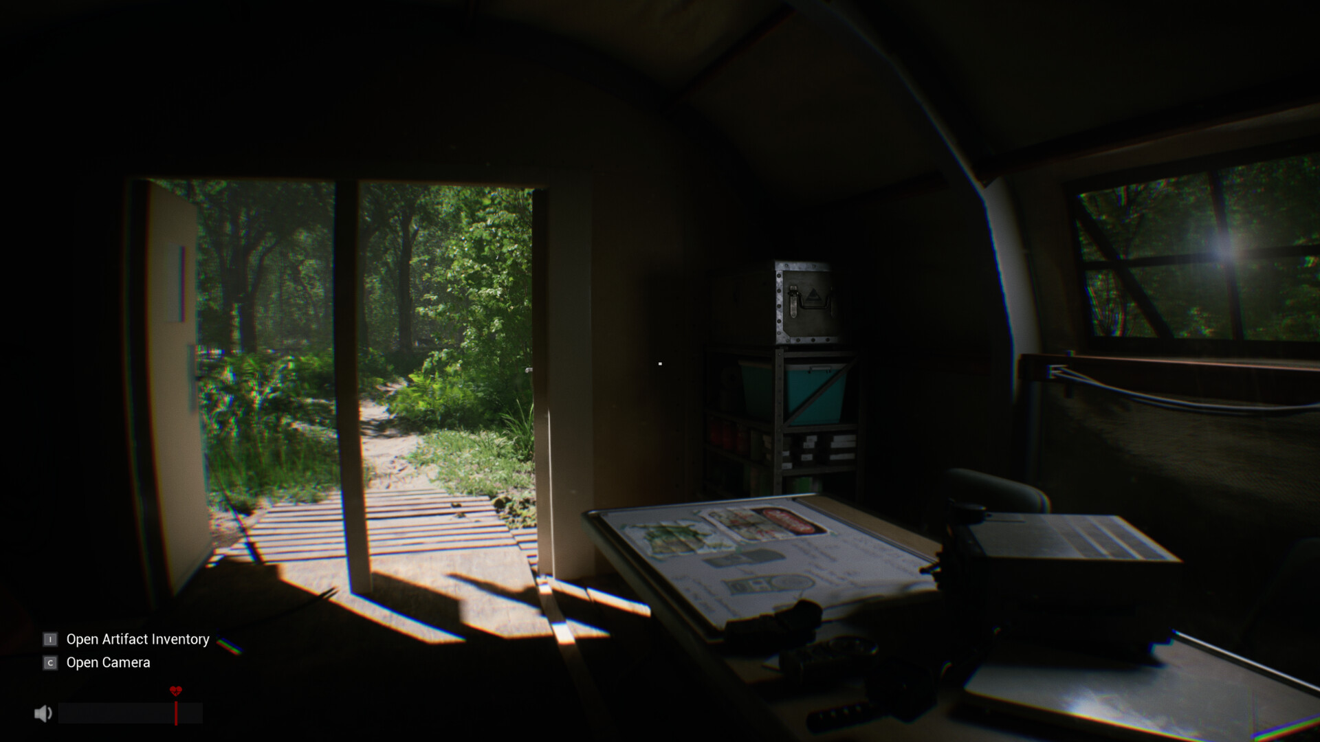 Sector 13: Haunted Woods