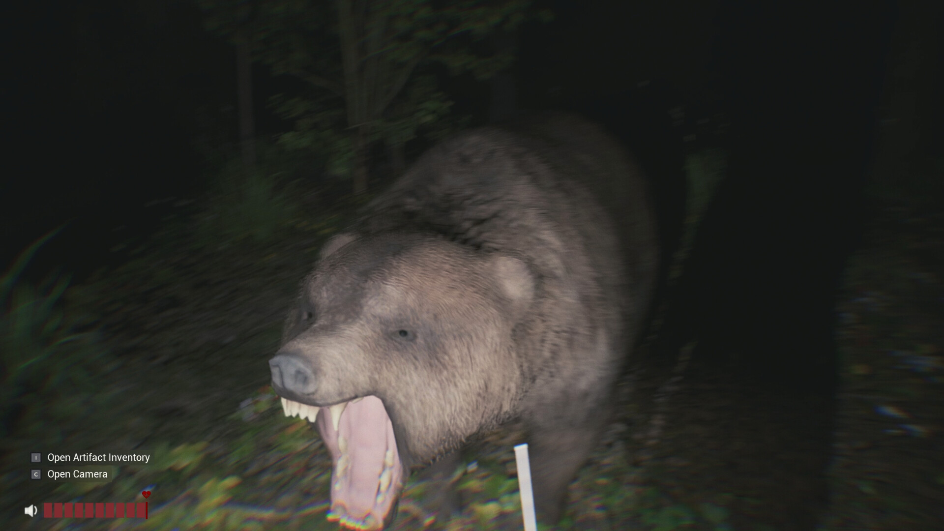 Sector 13: Haunted Woods