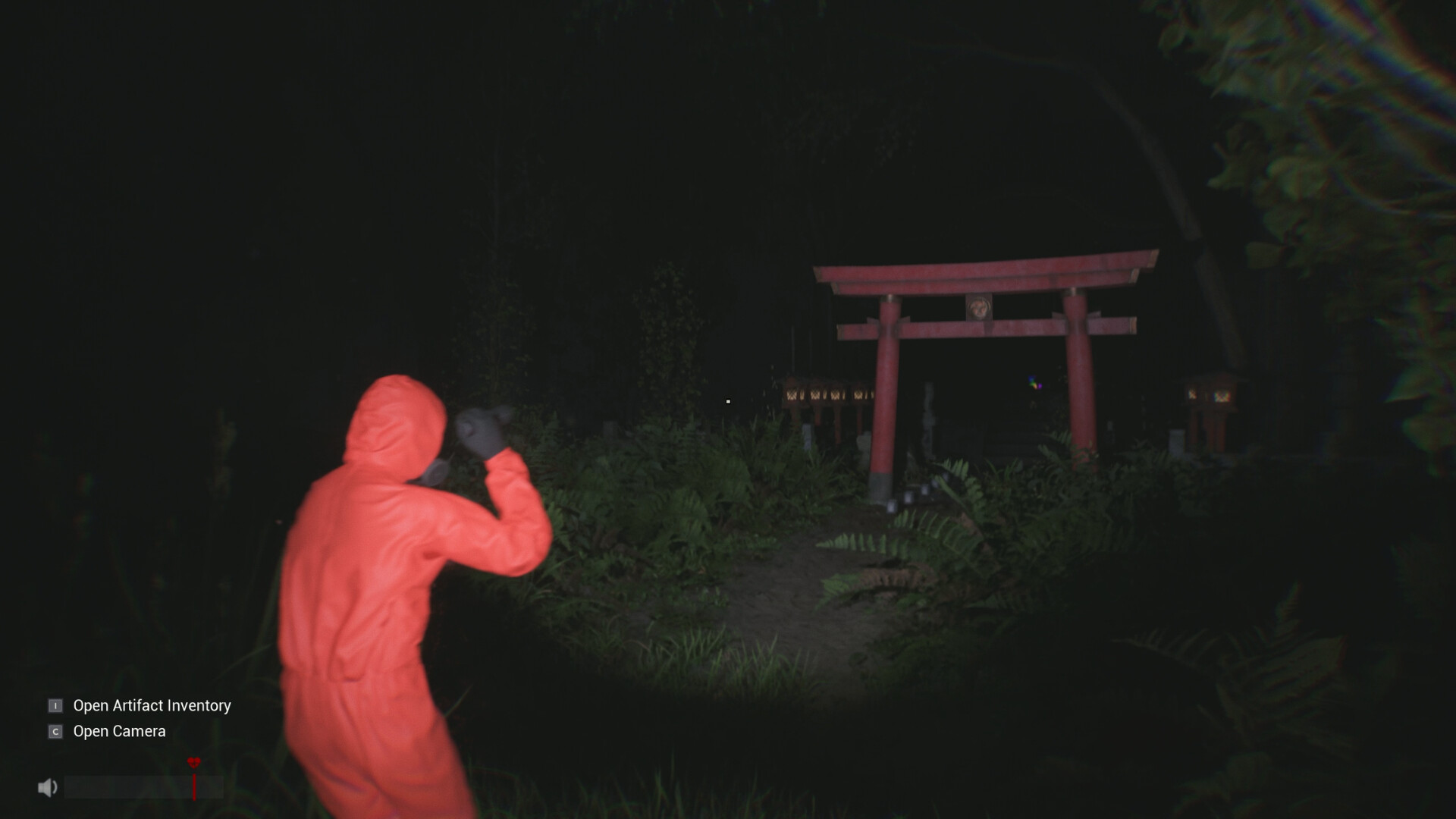 Sector 13: Haunted Woods