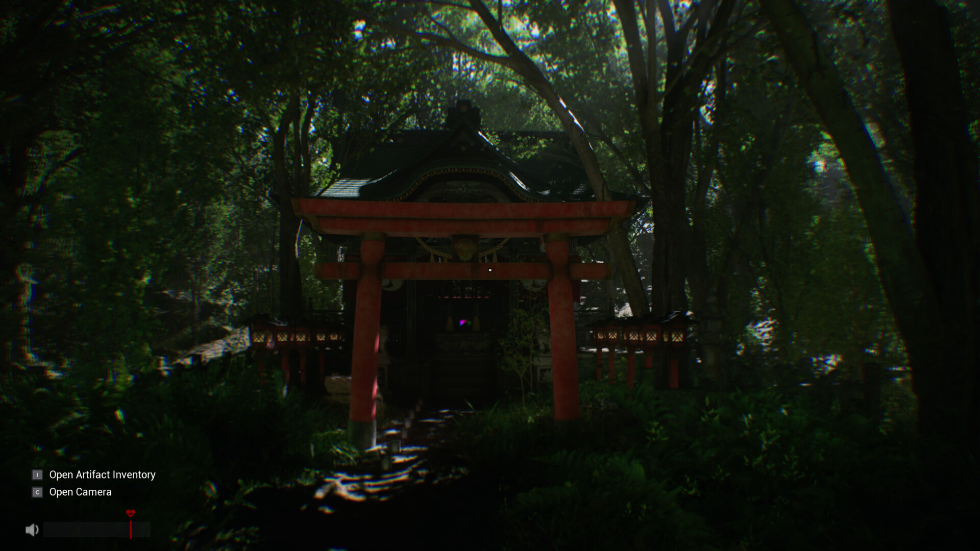 Sector 13: Haunted Woods