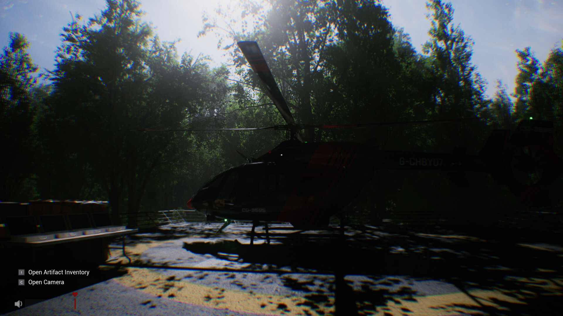 Sector 13: Haunted Woods