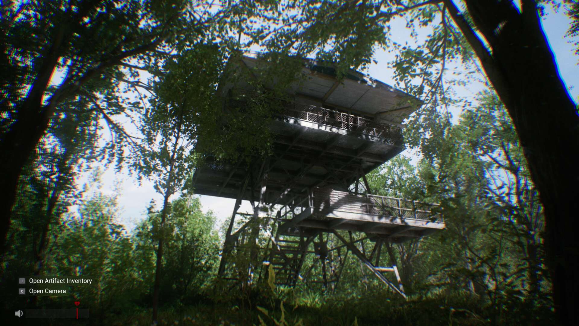 Sector 13: Haunted Woods