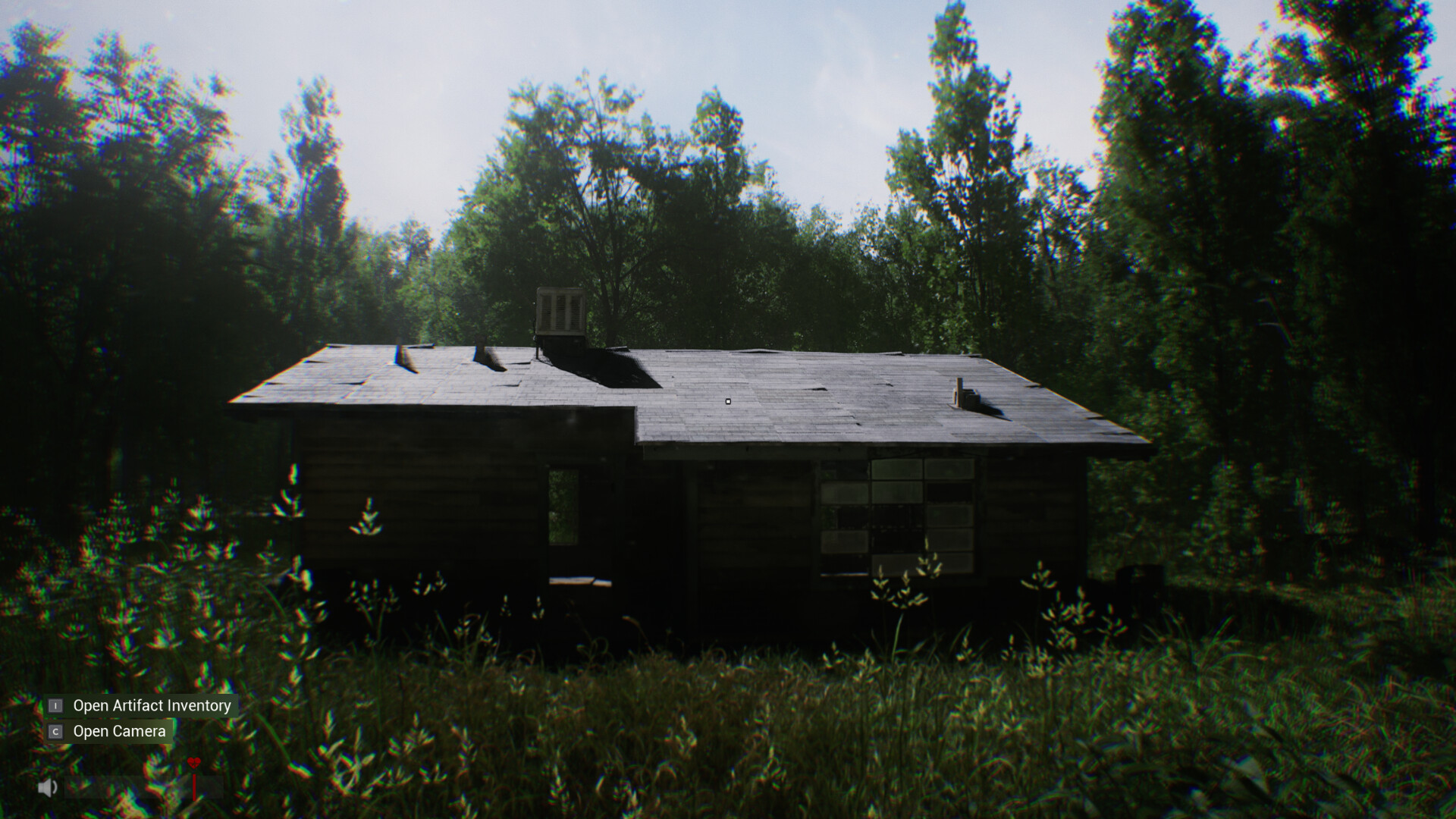 Sector 13: Haunted Woods